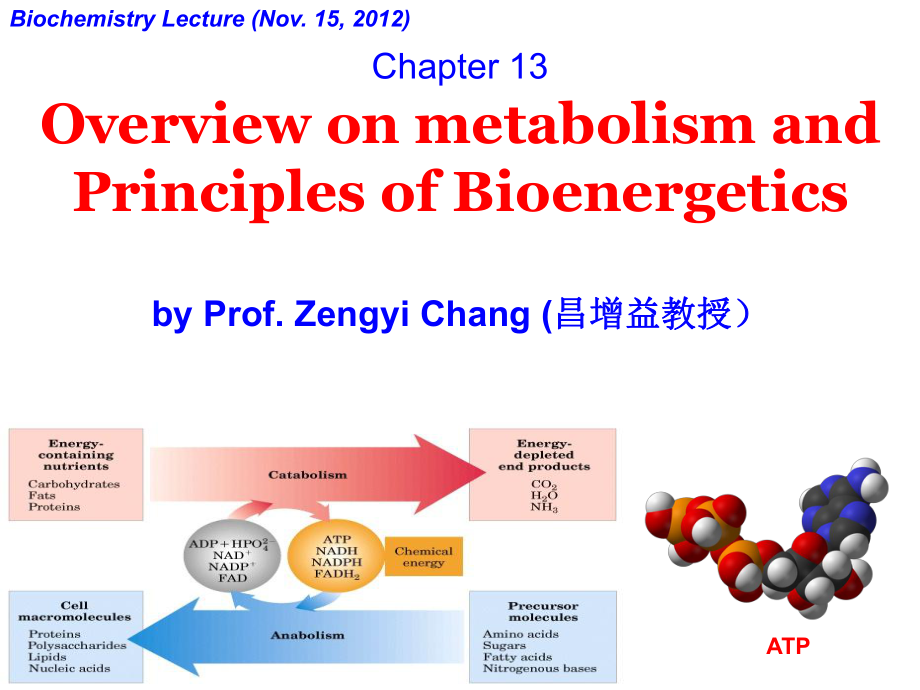 生物化學(xué)：chapter 13 Overview of Metabolism and Principles of Bioenergetics_第1頁(yè)