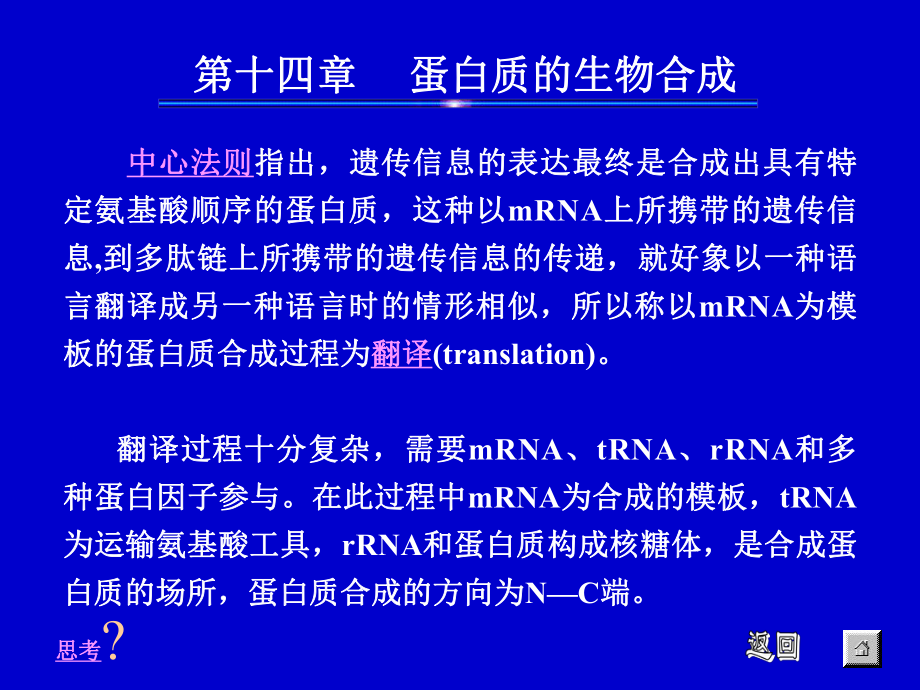 基礎生物化學：第十四章 蛋白質(zhì)的生物合成_第1頁