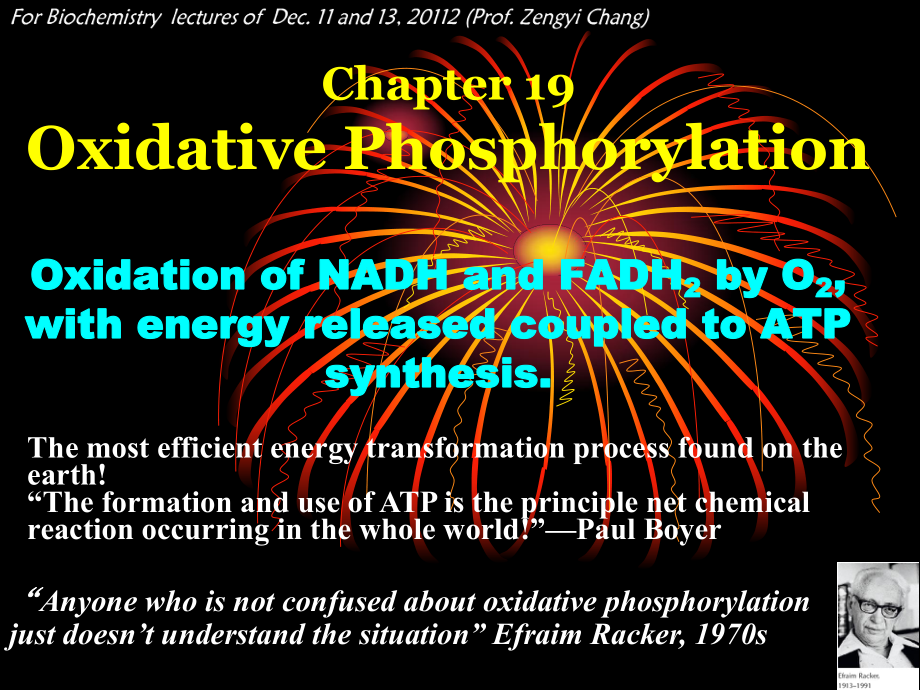 生物化學(xué)：chapter 19 Oxidative Phosphorylation_第1頁(yè)