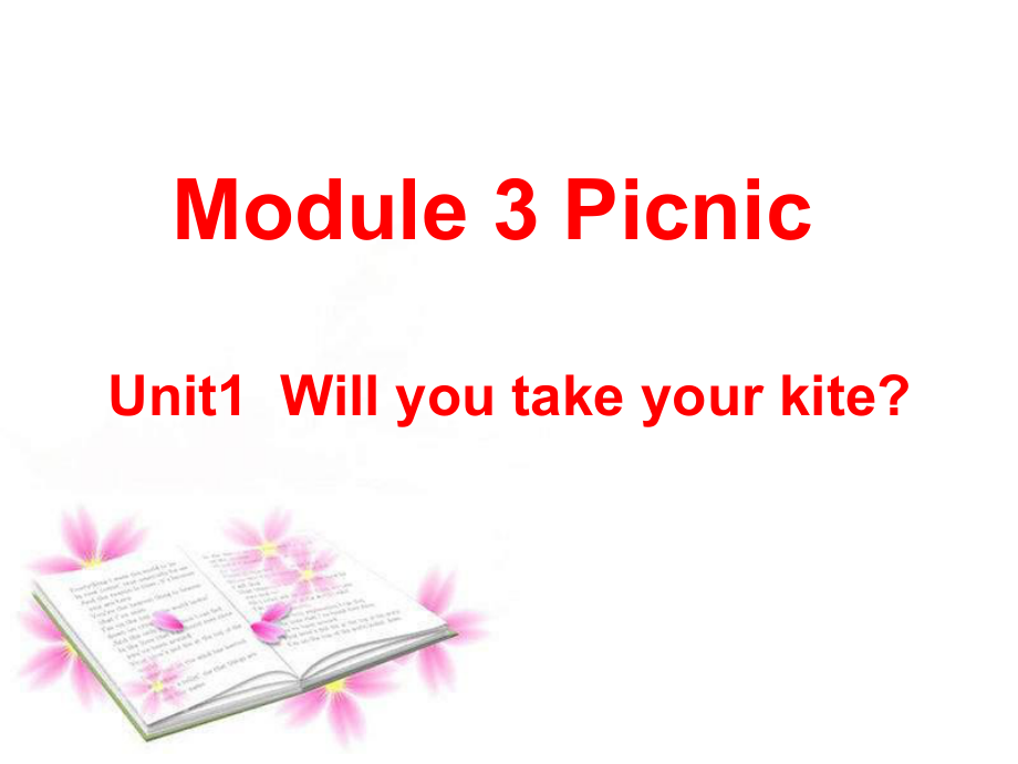 新標(biāo)準(zhǔn)英語(yǔ)第四冊(cè)Module3 unit1 Will you take your kitePPT課件_第1頁(yè)