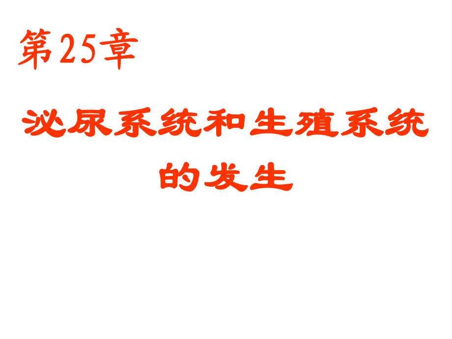 25泌尿系统和生殖系统的发生_第1页