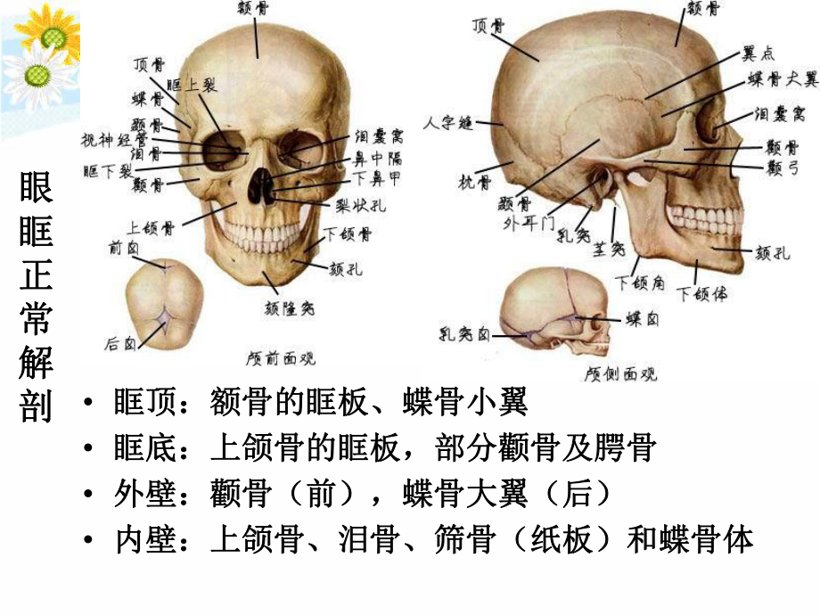 精品眼及眼眶疾病影像学诊断