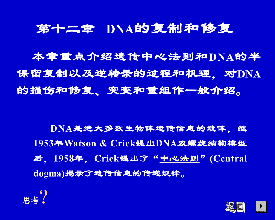 基礎(chǔ)生物化學(xué)：第十二章 DNA的復(fù)制和修復(fù)_第1頁