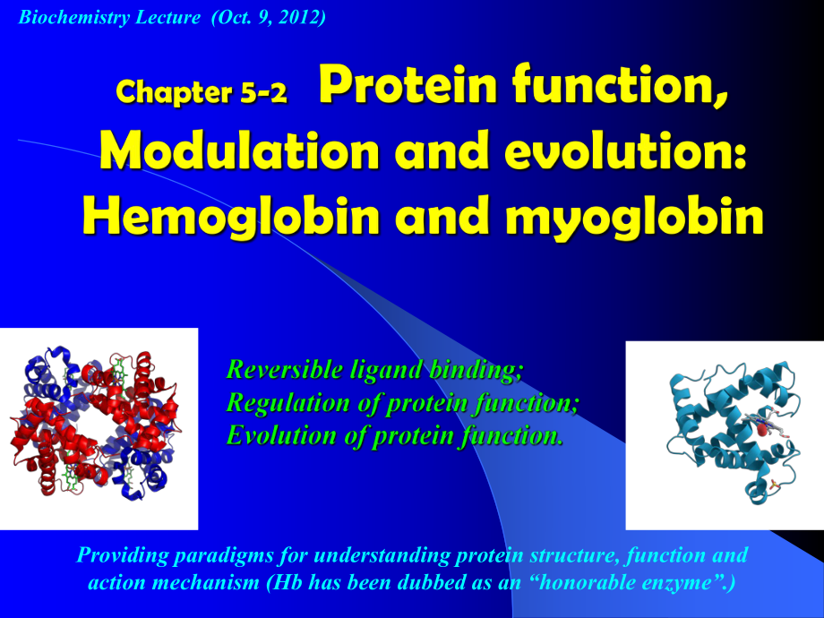 生物化學(xué)：Chapter 5-2 Protein Function,Modulation and evolution_第1頁(yè)