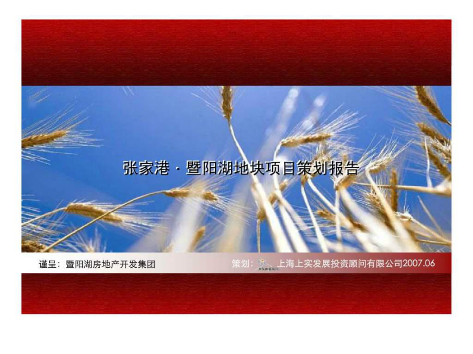 207年张家港暨阳湖地块项目策划报告_第1页