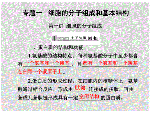 高三生物二輪復(fù)習(xí)課件： 細胞的分子組成