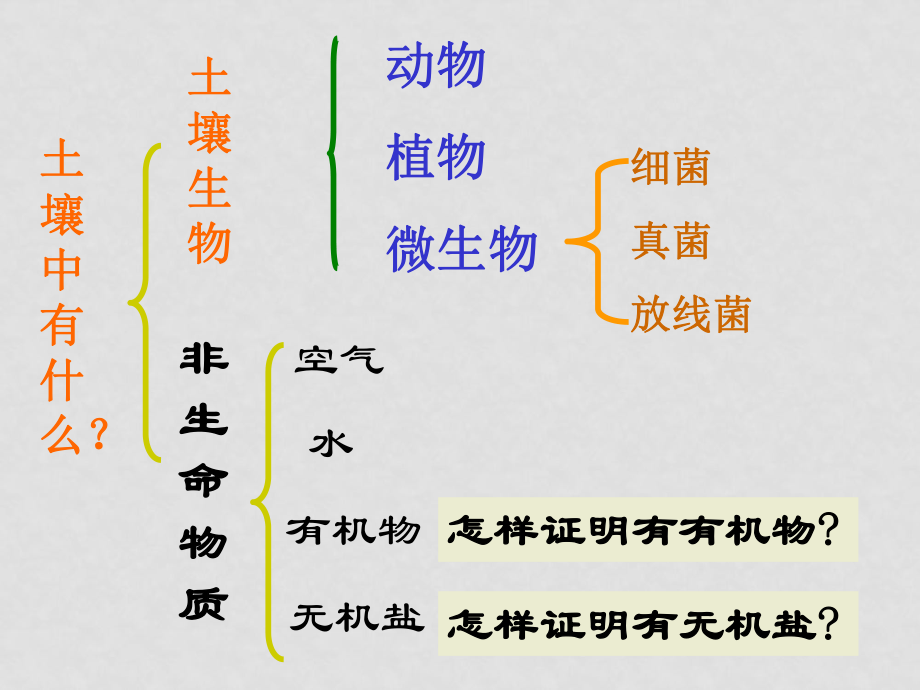 八年級(jí)科學(xué)下冊(cè)第3章 植物與土壤 本章綜合 復(fù)習(xí)課件浙教版_第1頁(yè)