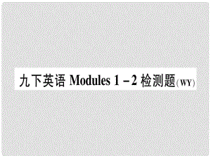 廣西北部灣經(jīng)濟區(qū)九年級英語下冊 Module 12檢測題習題課件 （新版）外研版