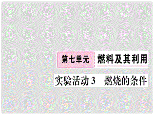 江西省九年級化學(xué)上冊 第七單元 燃料及其利用 實(shí)驗(yàn)活動(dòng)3 燃燒的條件練習(xí)課件（含模擬）（新版）新人教版