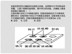 浙江省建德市新安江高級中學高三化學 硫酸課件