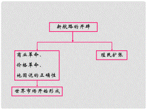 浙江省岱山縣大衢中學(xué)高中歷史 專題五《血與火的征服與掠奪》課件 人民版必修2