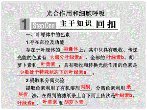 高三生物專題突破二 光合作用和細(xì)胞呼吸課件