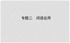 山東省德州市中考語文 專題復(fù)習(xí)二 詞語運(yùn)用課件