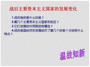 山東省郯城縣紅花鎮(zhèn)九年級(jí)歷史下冊(cè) 第四單元 戰(zhàn)后主要資本主義國(guó)家的發(fā)展變化 9《西歐和日本經(jīng)濟(jì)的發(fā)展》課件1 新人教版