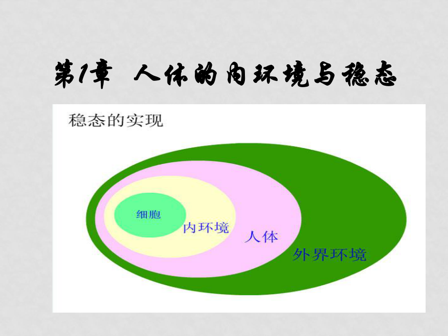 高中生物第一節(jié) 細胞生活的環(huán)境課件新人教版必修3_第1頁