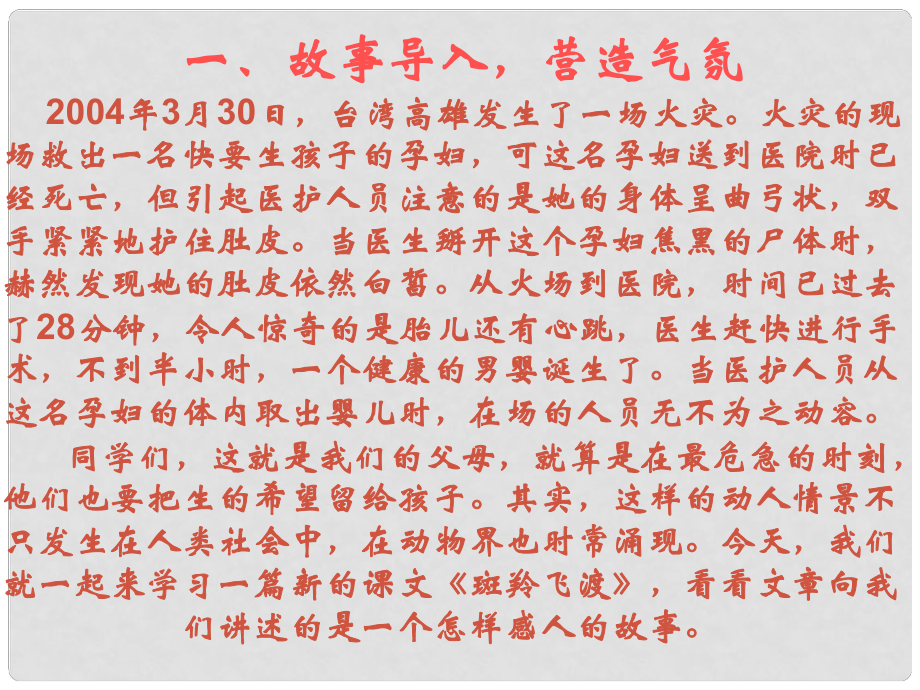 湖北省崇陽縣七年級語文下冊 斑羚飛渡課件 人教新課標(biāo)版_第1頁