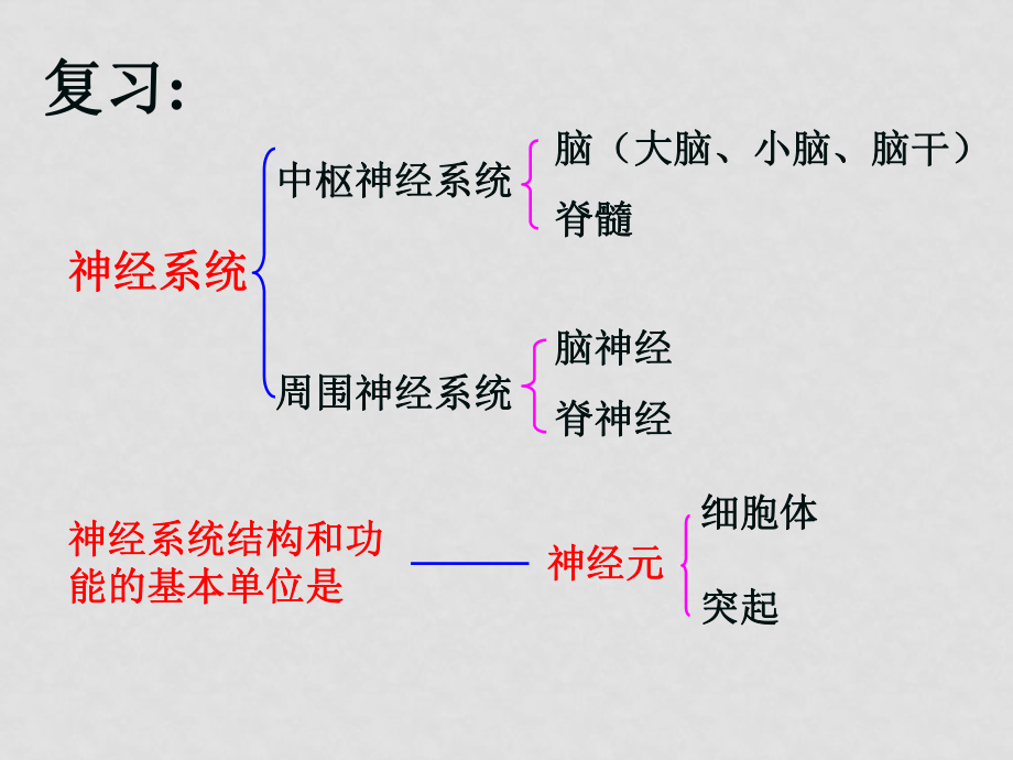 七年級生物第三節(jié) 神經調節(jié)的基本方式課件全國通用_第1頁