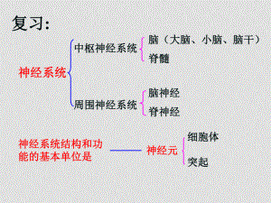 七年級生物第三節(jié) 神經(jīng)調(diào)節(jié)的基本方式課件全國通用