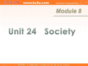 廣東省高考英語一輪總復(fù)習(xí) Module8 unit 24 Society課件 北師大版 新課標