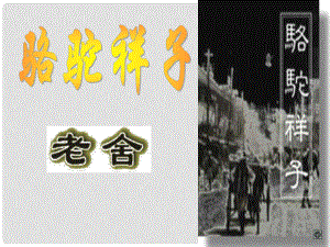 七年級語文下冊 駱駝祥子課件 魯教版