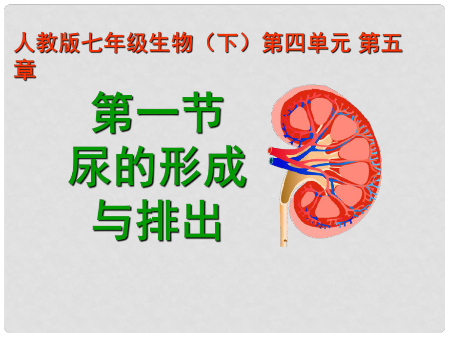 湖北省武漢市為明實(shí)驗(yàn)學(xué)校七年級(jí)生物下冊(cè)《第五章 人體內(nèi)廢物的排出》課件 人教新課標(biāo)版_第1頁