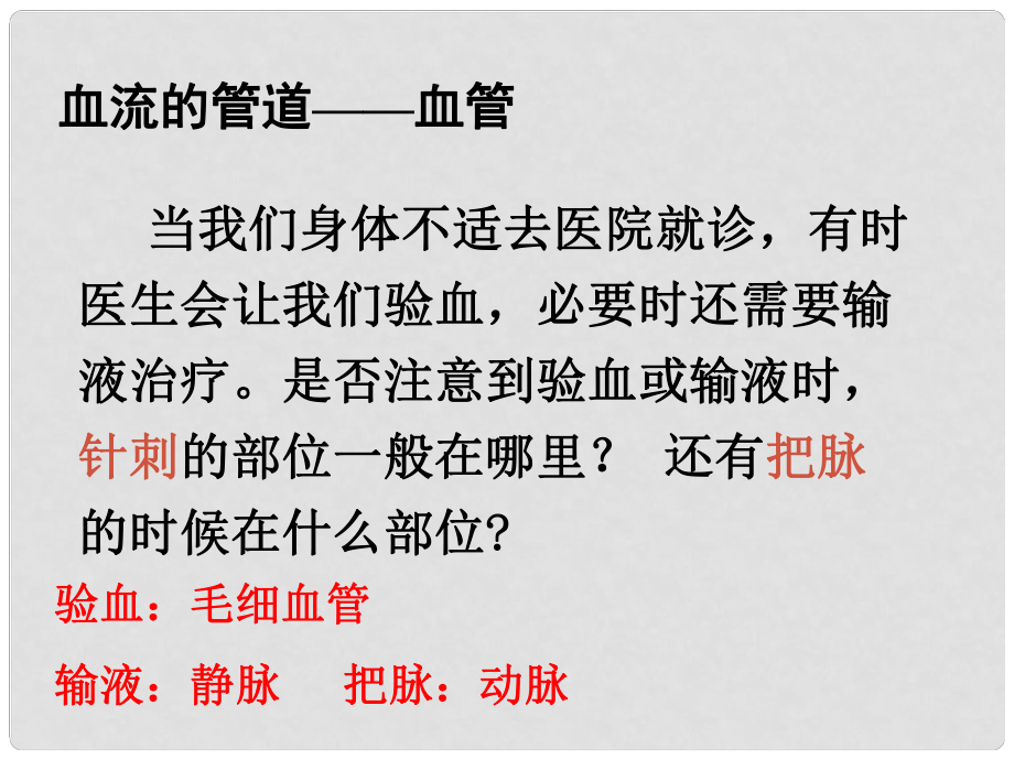 福建省福清西山學校七年級生物 《血流的管道—血管》課件_第1頁