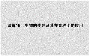 高考生物 全程刷題訓(xùn)練計劃 課練15 課件