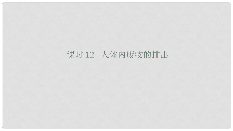 內(nèi)蒙古鄂爾多斯市達拉特旗七年級生物下冊 4.5 人體內(nèi)廢物的排出課件 （新版）新人教版_第1頁