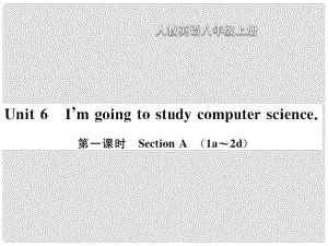 八年級英語上冊 Unit 6 I am going to study computer science（第1課時）Section A習題課件 （新版）人教新目標版