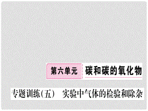 江西省九年級化學(xué)上冊 第六單元 碳和碳的氧化物 專題訓(xùn)練（五）實驗中氣體的檢驗和除雜練習(xí)課件（含模擬）（新版）新人教版