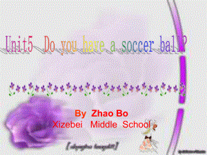 七年級(jí)英語(yǔ)Unit5 Do you have a soccer ball課件人教版