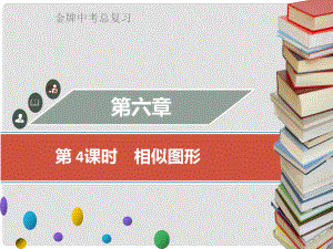 廣東省中考數(shù)學總復習 第六章 圖形與變換 第4課時 相似圖形課件