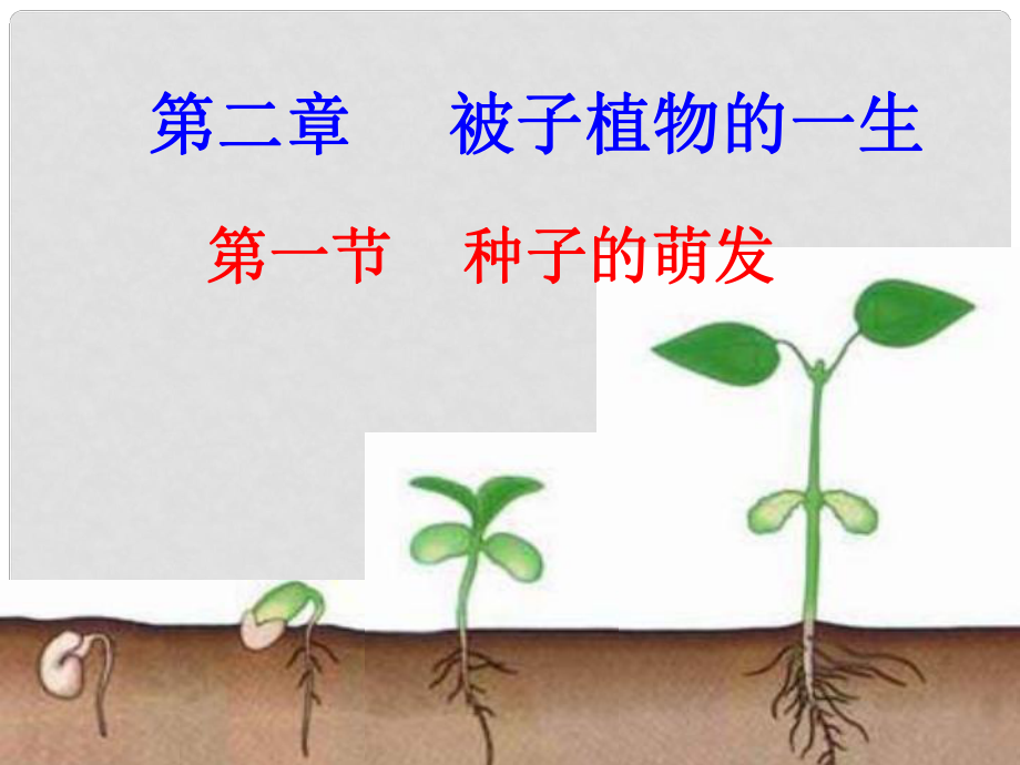 吉林省長(zhǎng)市七年級(jí)生物上冊(cè) 第三單元 第二章 第一節(jié) 種子的萌發(fā)課件2 （新版）新人教版_第1頁(yè)