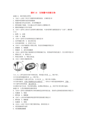 云南專版中考生物 教材考點(diǎn)梳理 第18課時(shí) 生物圈中的微生物