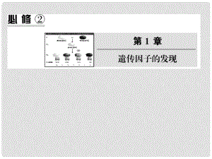 高中生物第一輪復習 遺傳因子的發(fā)現(xiàn)課件