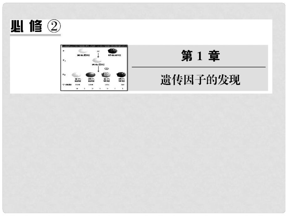 高中生物第一輪復(fù)習(xí) 遺傳因子的發(fā)現(xiàn)課件_第1頁(yè)