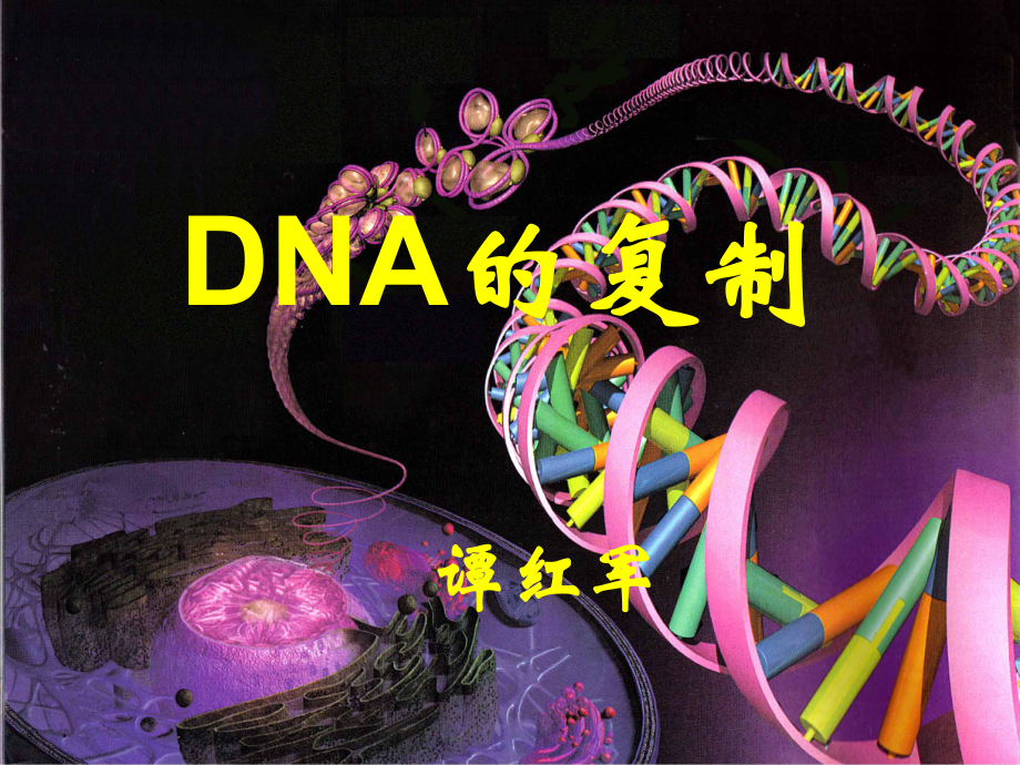 高中生物 DNA的復(fù)制 課件1人教版必修2_第1頁