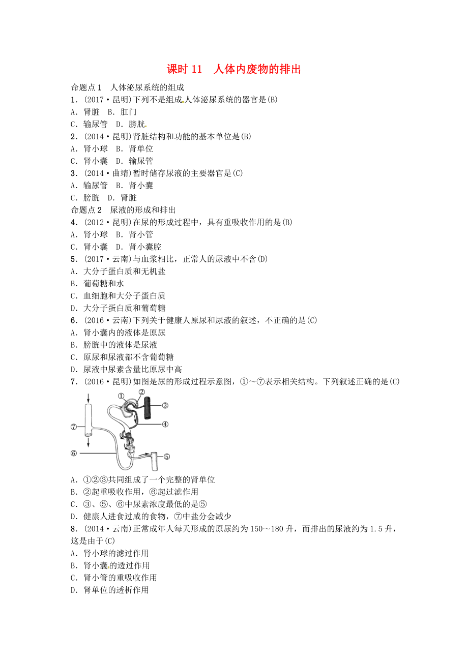 云南專版中考生物 教材考點(diǎn)梳理 第11課時(shí) 人體內(nèi)廢物的排出_第1頁