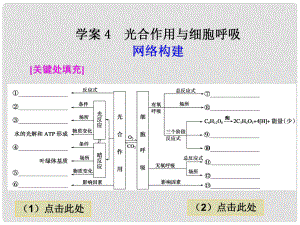 高考二輪專題復(fù)習(xí) 第一部分專題二 4光合作用與細(xì)胞呼吸課件