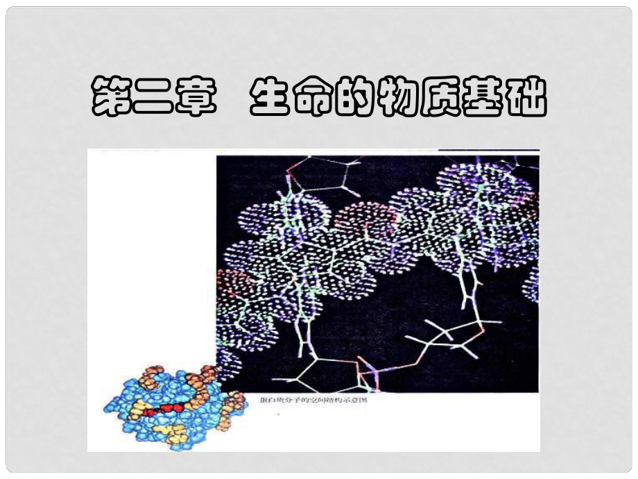 高中生物：第2章《生命的物質(zhì)基礎(chǔ)》課件（1）滬科版第一冊_第1頁