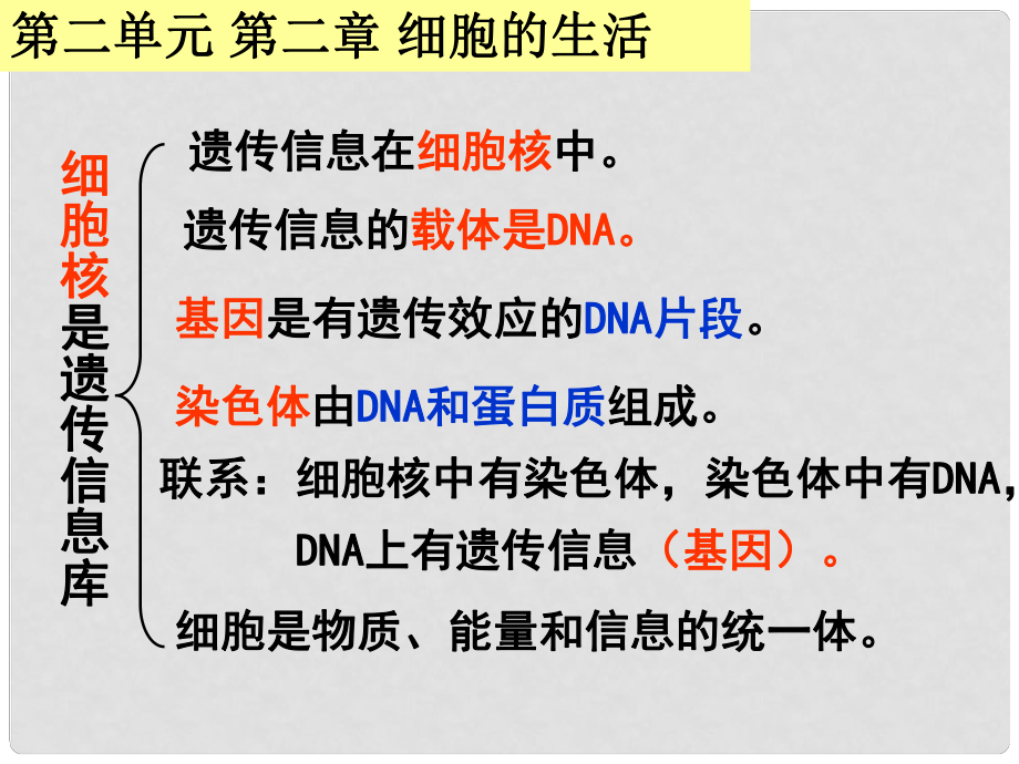 廣東省汕頭市七年級(jí)生物上冊(cè) 期末復(fù)習(xí)課件 （新版）新人教版_第1頁(yè)