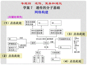 高考二輪專題復(fù)習(xí) 第一部分專題四 7遺傳的分子基礎(chǔ)課件