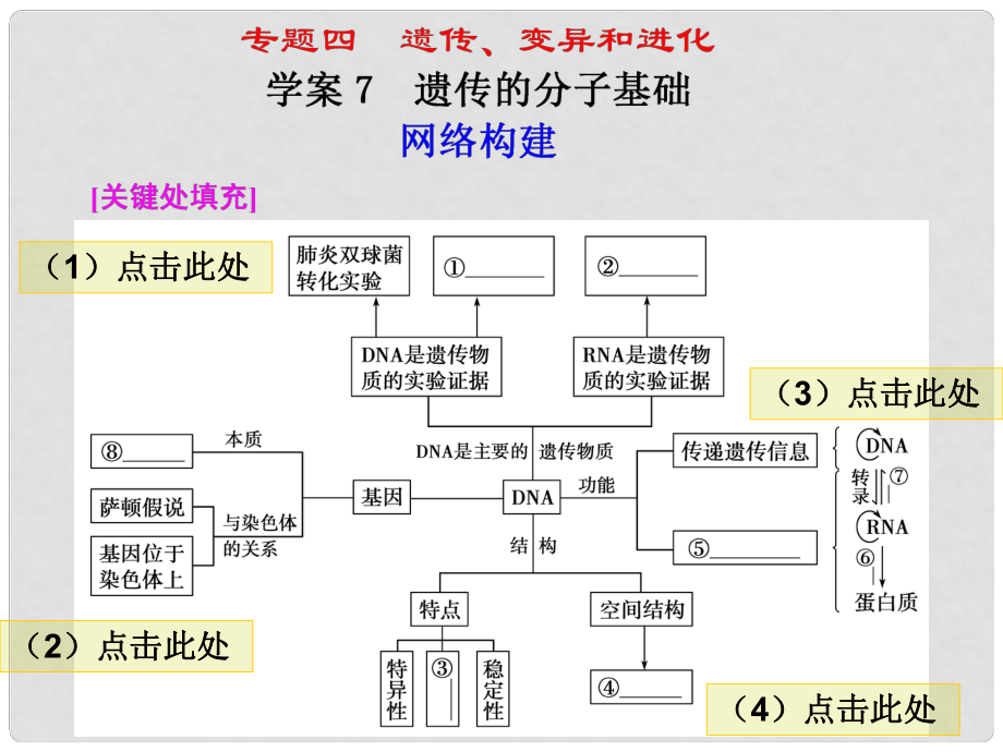 高考二輪專題復(fù)習(xí) 第一部分專題四 7遺傳的分子基礎(chǔ)課件_第1頁