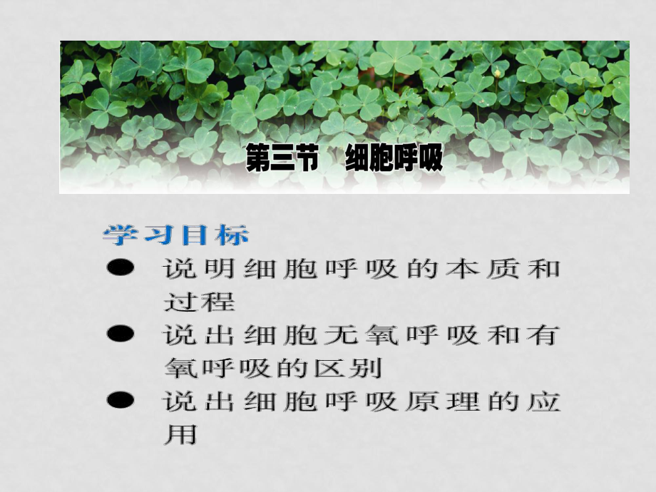 高中生物第三節(jié) 細(xì)胞呼吸 課件蘇教版必修1_第1頁