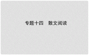 山東省德州市中考語文 專題復(fù)習(xí)十四 散文閱讀課件