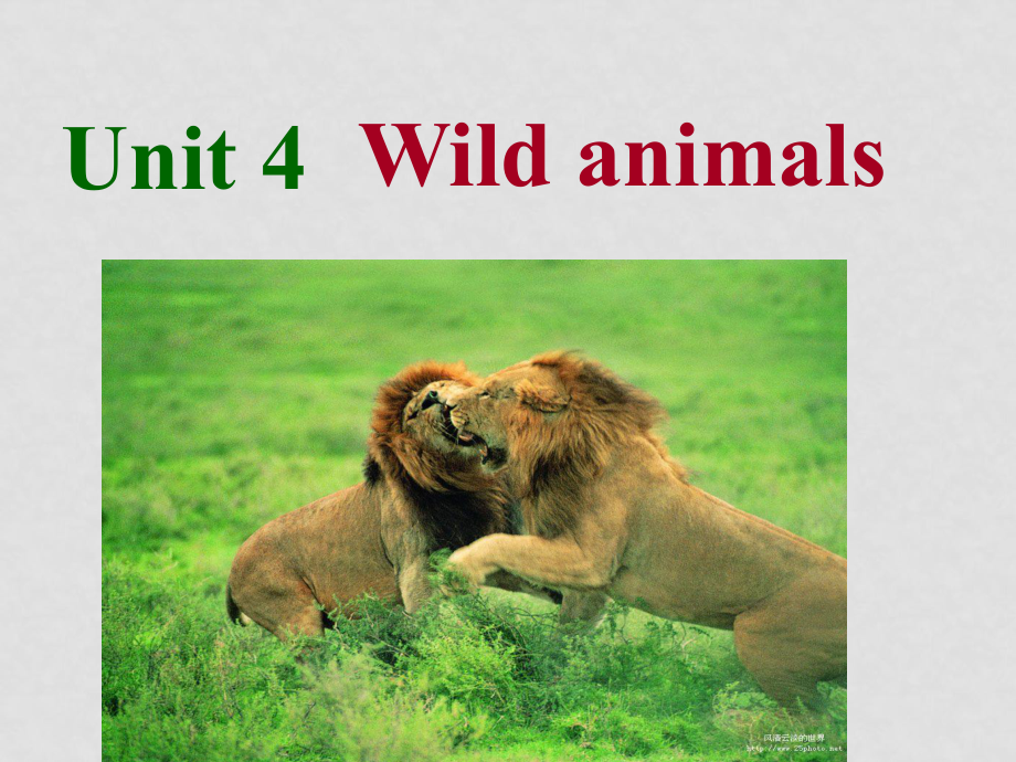 八年級英語Unit4 wild animals checkout pronunciation課件人教新目標版_第1頁