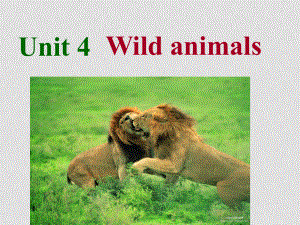 八年級(jí)英語(yǔ)Unit4 wild animals checkout pronunciation課件人教新目標(biāo)版