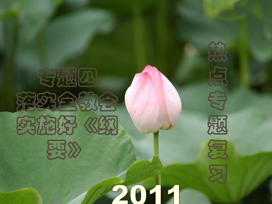 中考熱點(diǎn)系列 專題四 落實(shí)全教會(huì) 實(shí)施好《綱要》_第1頁(yè)