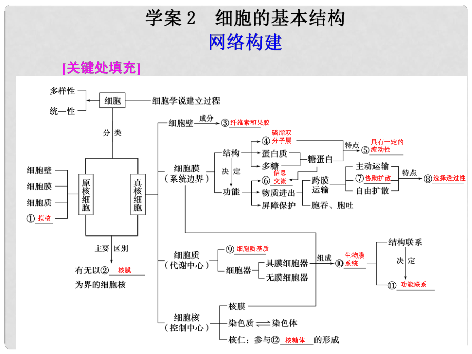 高考二輪專題復(fù)習(xí) 第一部分專題一 2細(xì)胞的基本結(jié)構(gòu)課件_第1頁