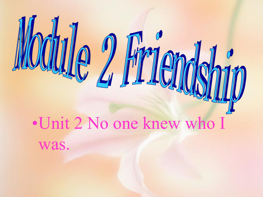 八年級(jí)英語下Module2 Friendship Unit 2 No one knew who I was課件外研版_第1頁